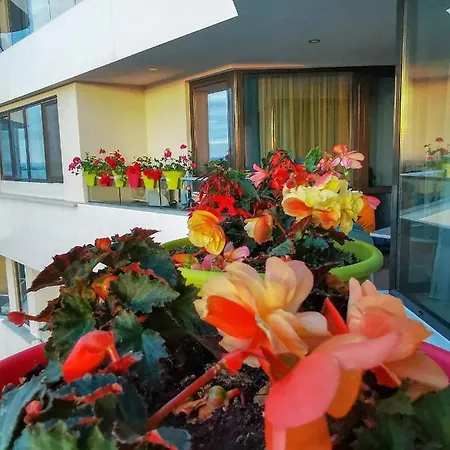 Luxury Appartments Alix