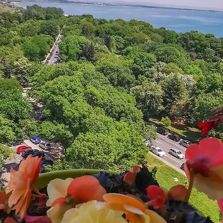 Luxury Alix アパート *