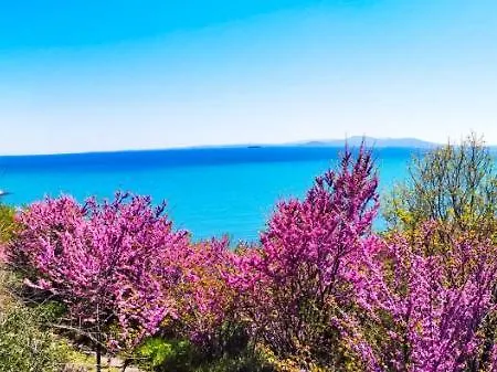 Apartment Luxury Alix Burgas